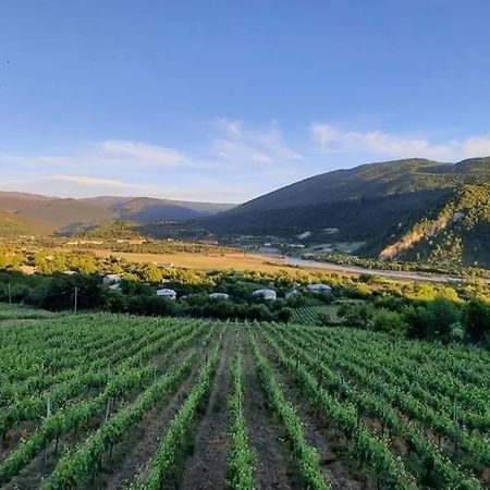 Chateau Dio Ambrolauri Dış mekan fotoğraf