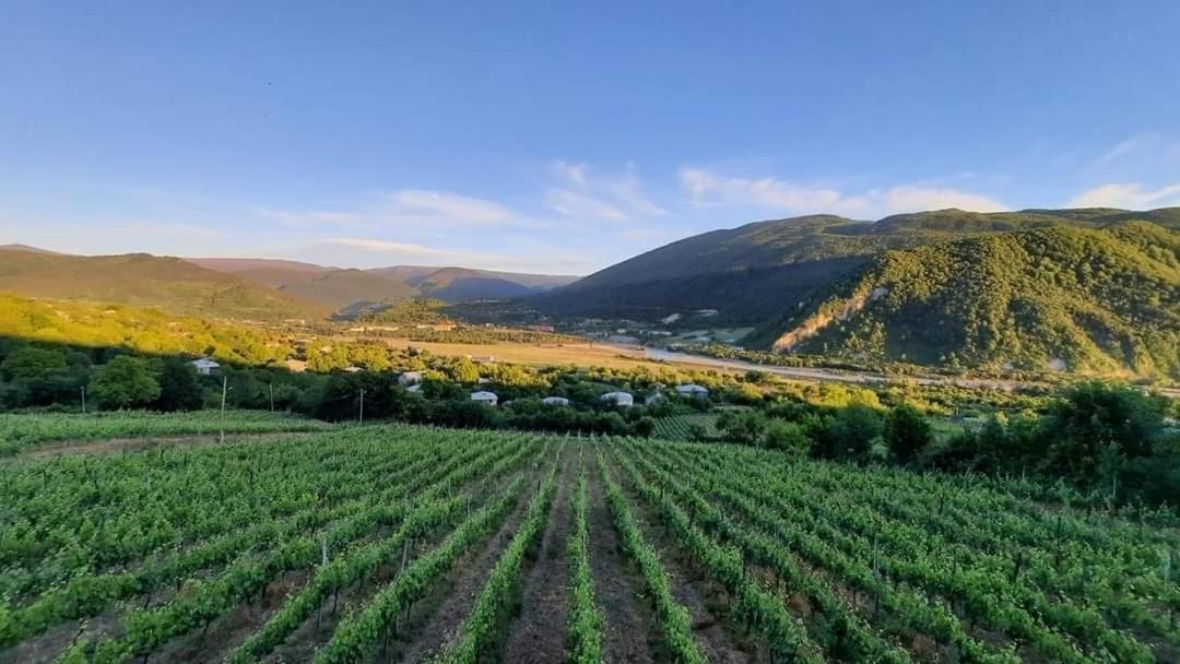 Chateau Dio Ambrolauri Dış mekan fotoğraf