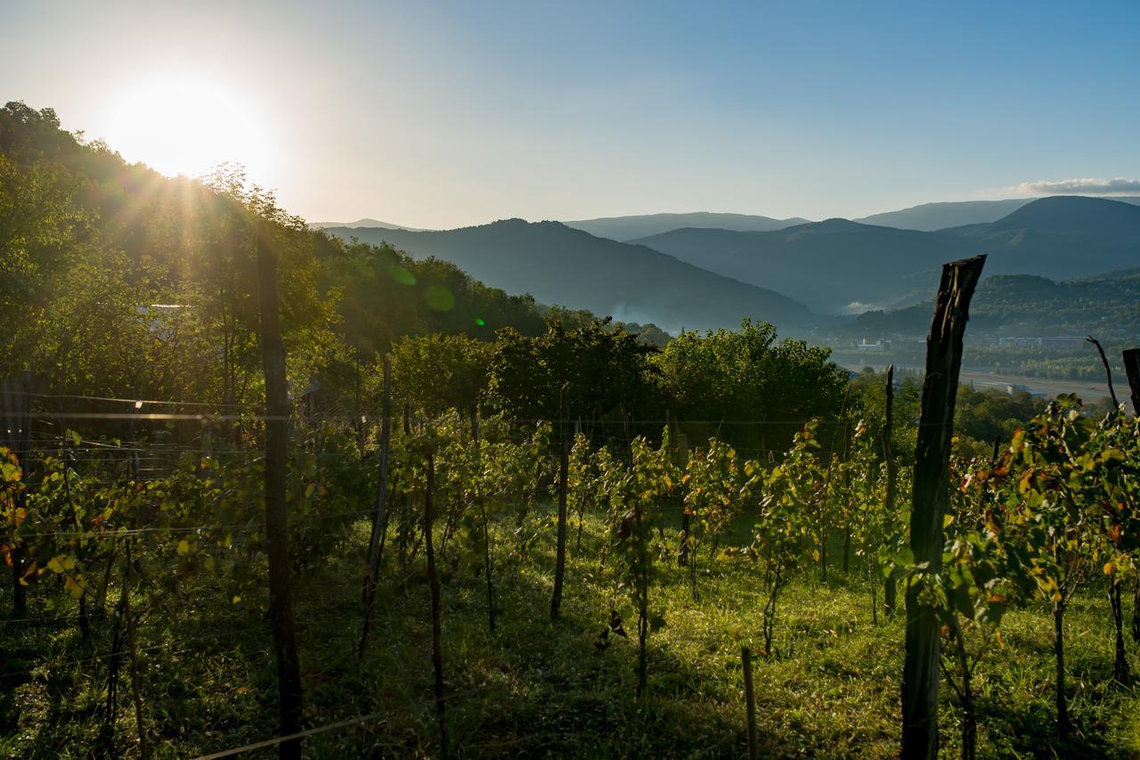 Chateau Dio Ambrolauri Dış mekan fotoğraf