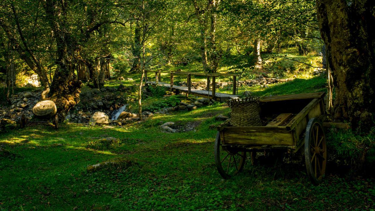 Chateau Dio Ambrolauri Dış mekan fotoğraf