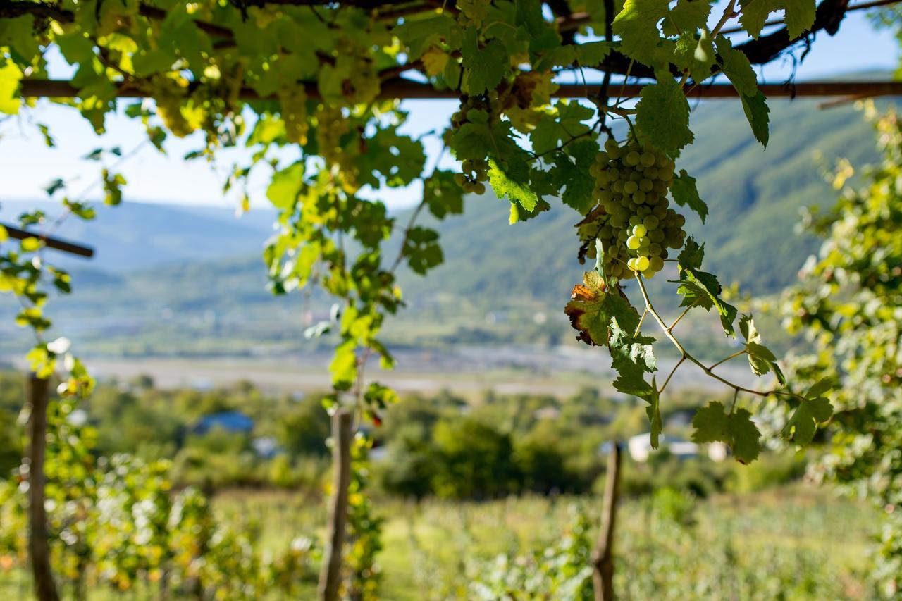 Chateau Dio Ambrolauri Dış mekan fotoğraf