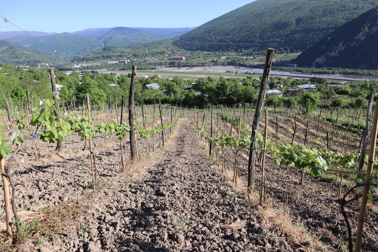 Chateau Dio Ambrolauri Dış mekan fotoğraf