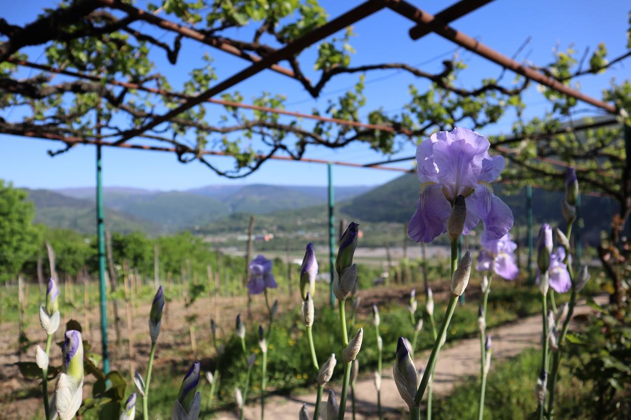 Chateau Dio Ambrolauri Dış mekan fotoğraf